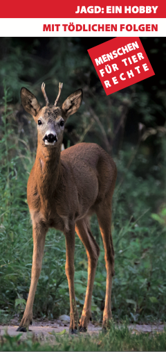 Jagd – Hobby mit tödlichen Folgen